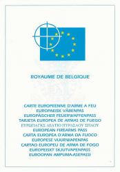 carte-europeenne-d-armes-a-feu.jpg